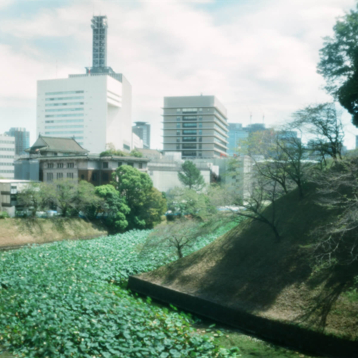 Japan Tokyo - Kodak Ektar 100 - Pinhole Photography - 2018 - 1